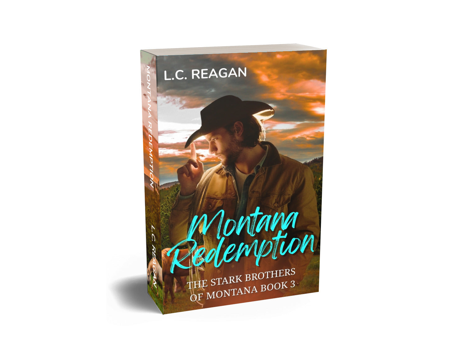 Montana Redemption: A Wounded Soldier Cowboy Romance (Rhett's Story)