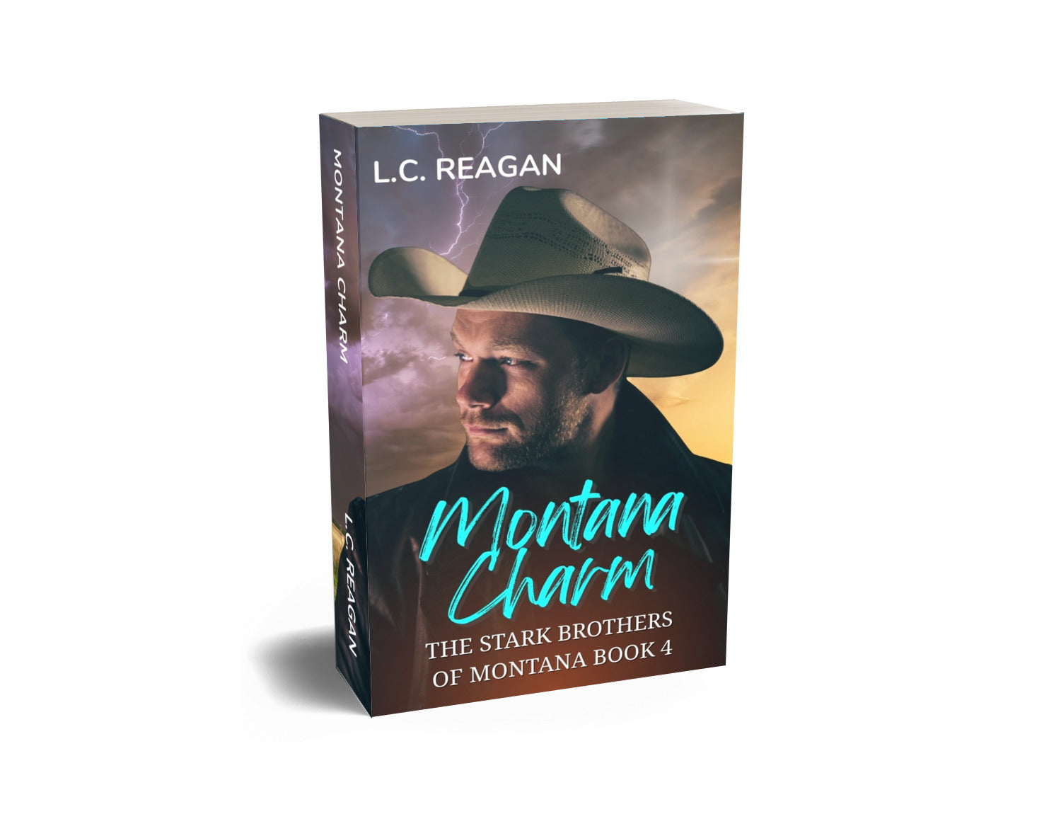 Montana Charm: A Brother’s Best Friend, Fake Dating Cowboy Romance (Nash's Story)