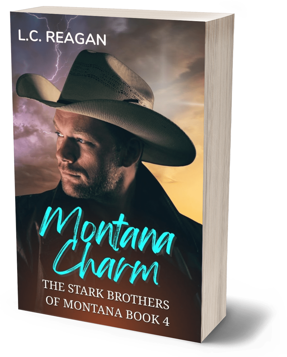 Montana Charm: A Brother’s Best Friend, Fake Dating Cowboy Romance (Nash's Story)