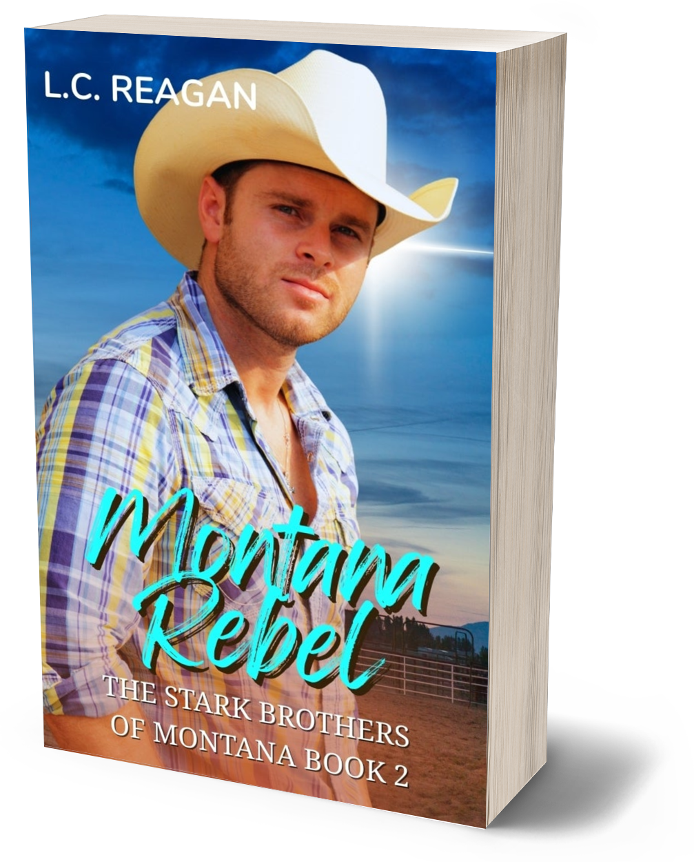 Montana Rebel: An Enemies-to-Lovers Cowboy Romance (Colton’s Story)