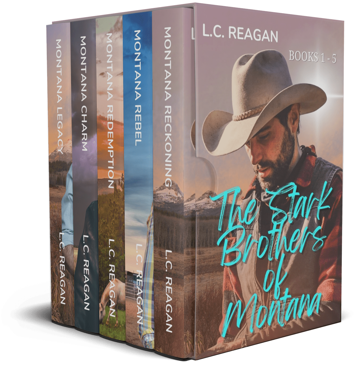 The Stark Brothers of Montana (Books 1 - 5): Five Small-Town, Slow-Burn Cowboy Romances in One Complete Montana Collection - Special Slipcover Edition